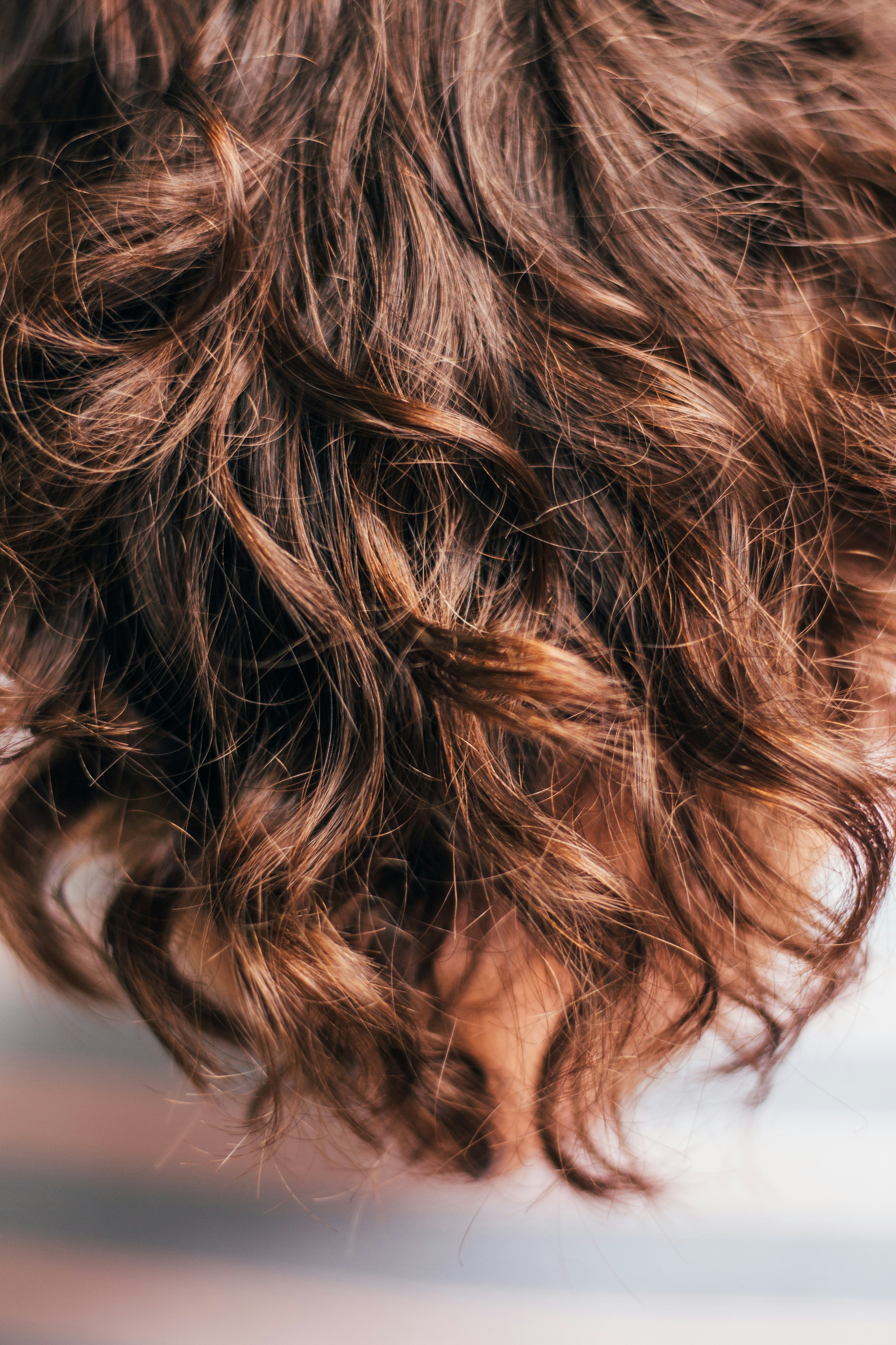 Cabello peinado con acabado brillante y ondulado